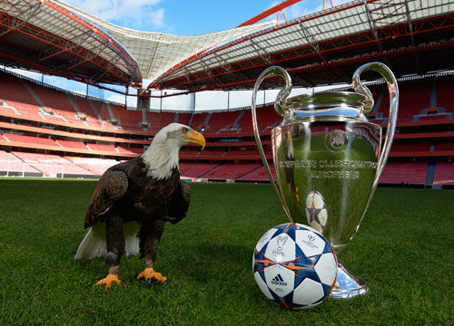 懂球帝12周年120大瞬间1／8决赛：重磅来袭，谁将通往八强？（懂球帝12周年120大瞬间1／8决赛开战：谁能挺进八强？）